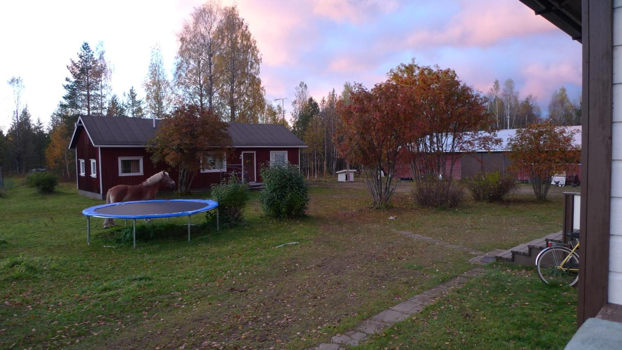 Вілла Heidin Mummola Farm Пелло Екстер'єр фото